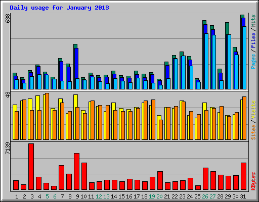 Daily usage for January 2013