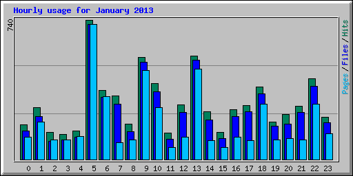 Hourly usage for January 2013