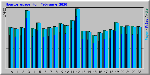 Hourly usage for February 2020