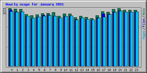 Hourly usage for January 2021