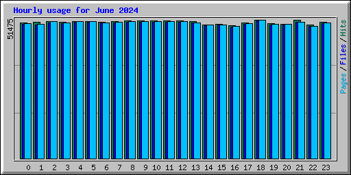 Hourly usage for June 2024