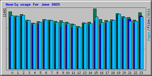 Hourly usage for June 2025