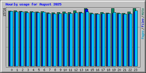 Hourly usage for August 2025