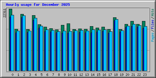 Hourly usage for December 2025