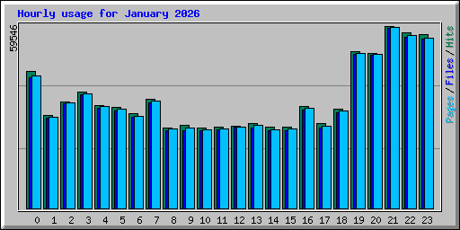 Hourly usage for January 2026
