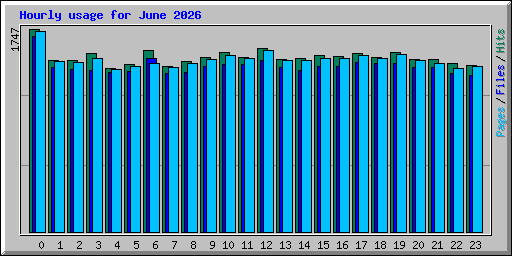 Hourly usage for June 2026